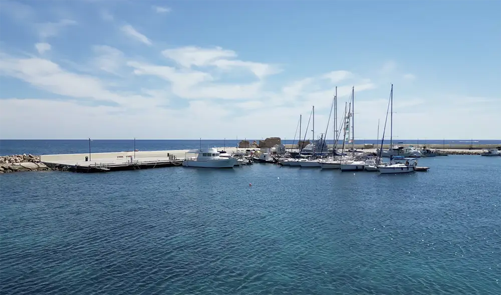 Paphos Harbour | ID 185